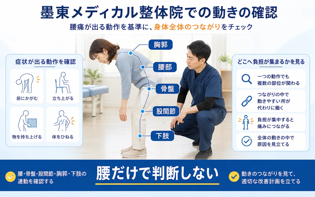 腰痛が出る動作で腰部・骨盤・股関節・胸郭・下肢の動きを確認する様子