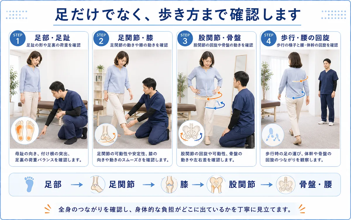 外反母趾の身体的負担を足部から足関節、膝、股関節、骨盤、腰の歩行まで確認する様子