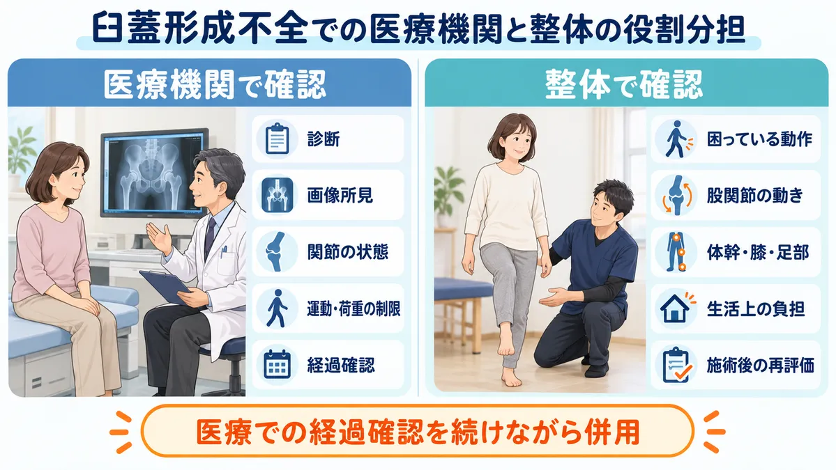 臼蓋形成不全で医療機関と整体がそれぞれ確認する内容を示した役割分担図