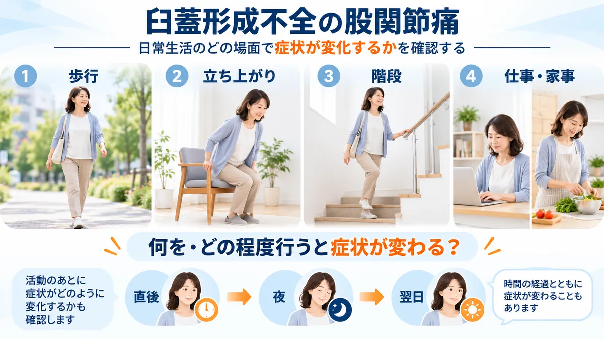 歩行や立ち上がり、階段、仕事や家事で股関節症状の変化を確認する図