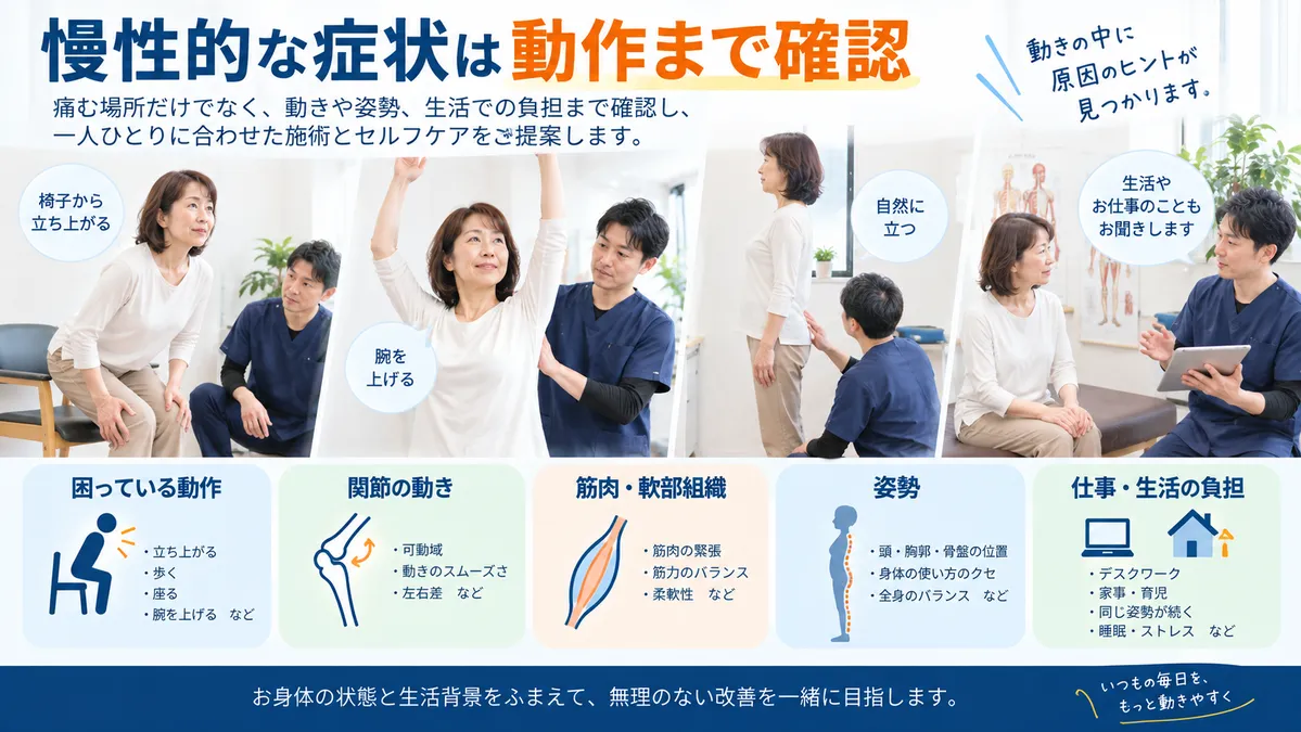 慢性的な腰痛や肩こりで姿勢や動作、身体の使い方を確認する様子