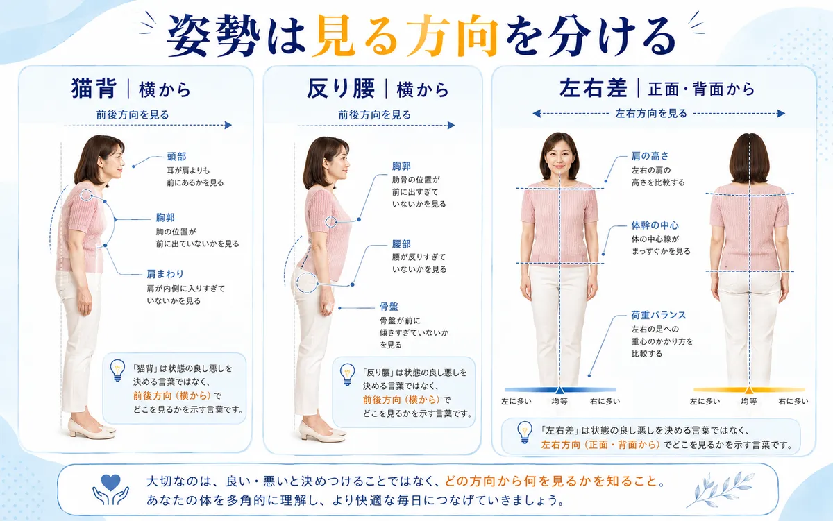 猫背と反り腰は横から、姿勢の左右差は正面や背面から観察する違いを示す図