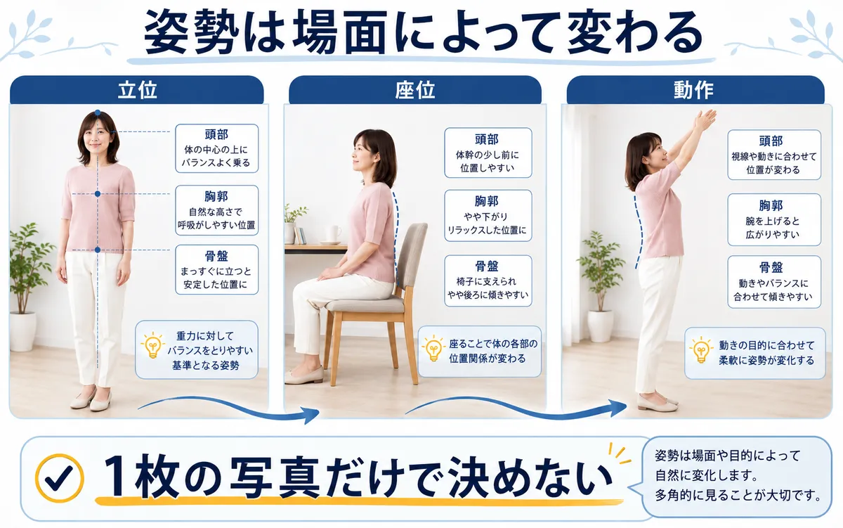 同じ女性の立位・座位・動作を比較し姿勢の見え方が変化することを示す図