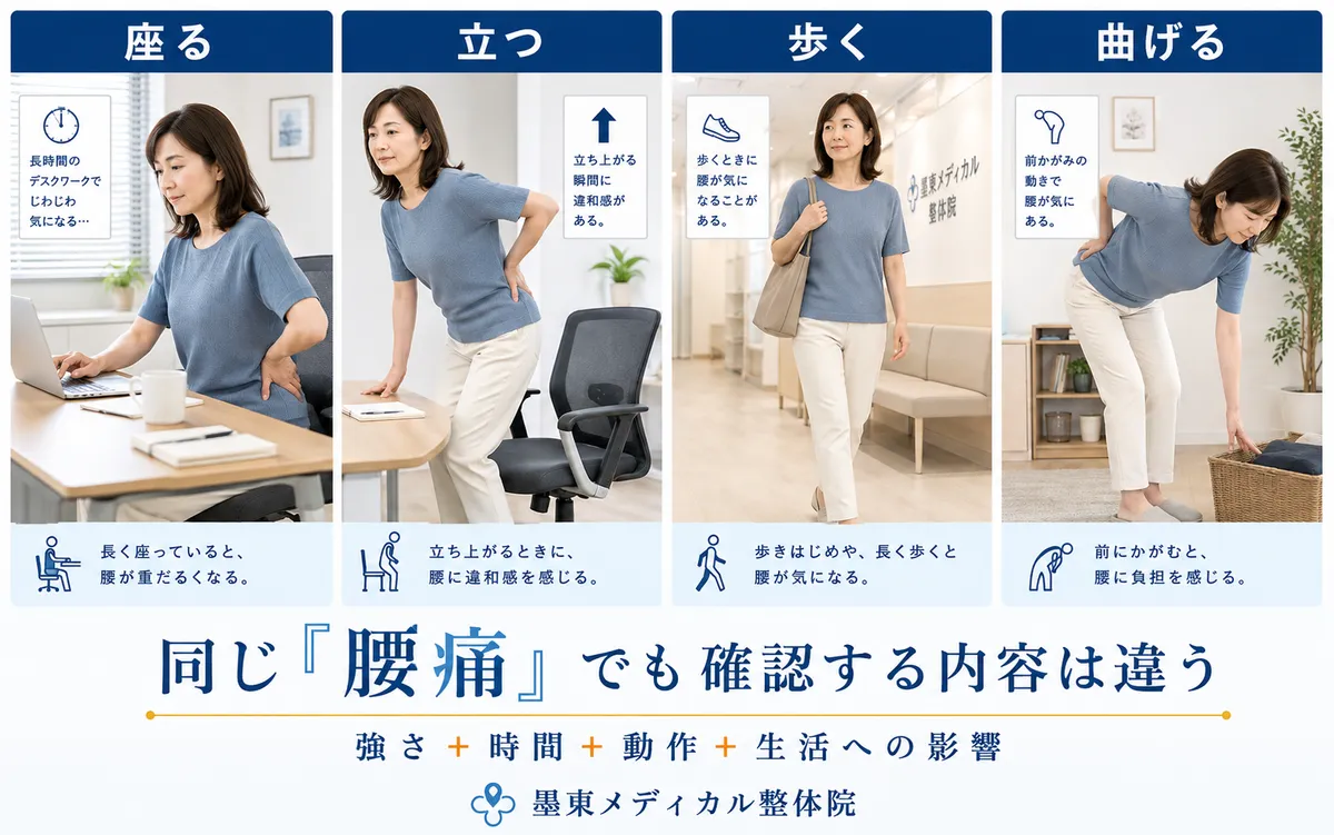 同じ腰痛でも座る・立つ・歩く・曲げるなど症状が出る場面によって確認内容が異なる様子