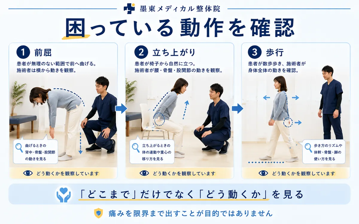 腰痛患者の前屈・椅子からの立ち上がり・歩行を安全な範囲で確認する様子