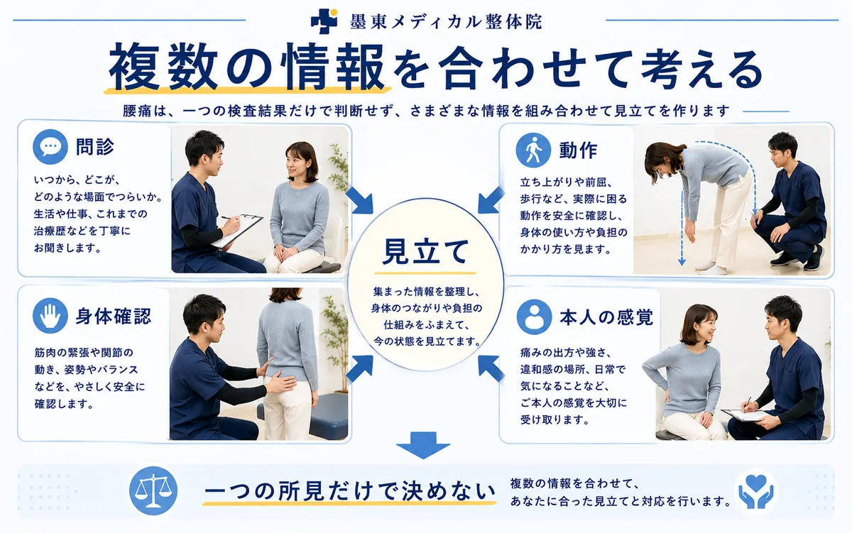 腰痛の問診・動作・身体確認・本人の感覚を合わせて施術上の見立てを作る図