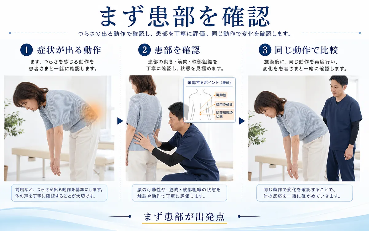 腰のつらさが出る動作と患部を確認して同じ動作で再評価する流れ