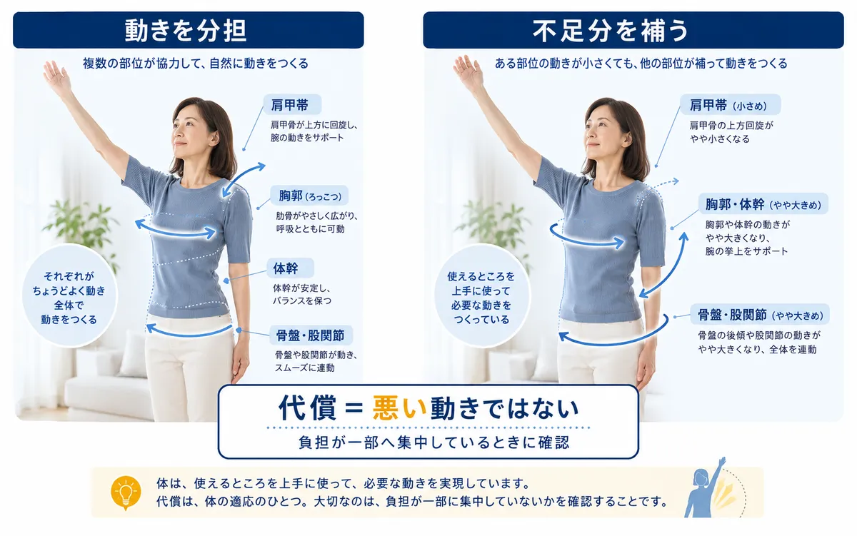 動きにくい身体領域の不足分を別の場所が補う代償動作の仕組み