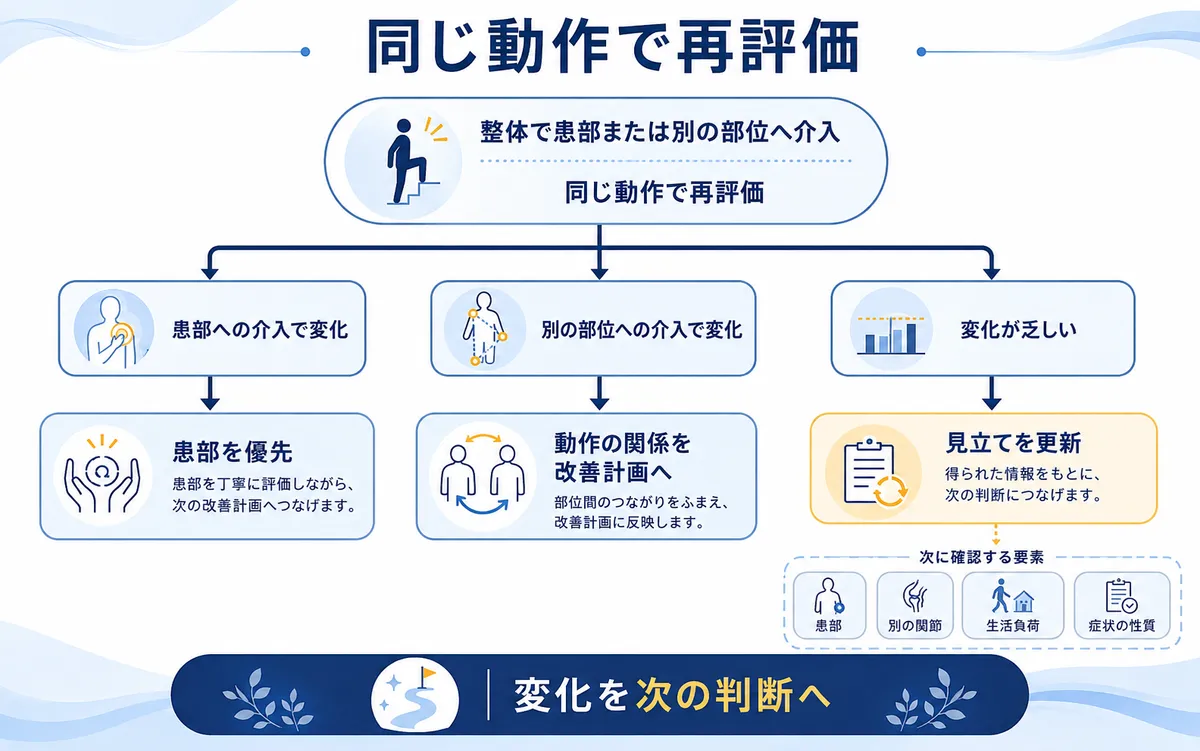 患部への介入と別部位への介入と変化が乏しい場合の3分岐再評価