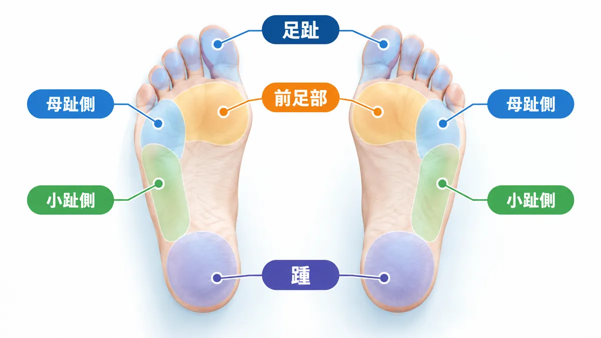 踵・前足部・母趾側・小趾側・足趾など足裏で荷重を受ける場所を示す図