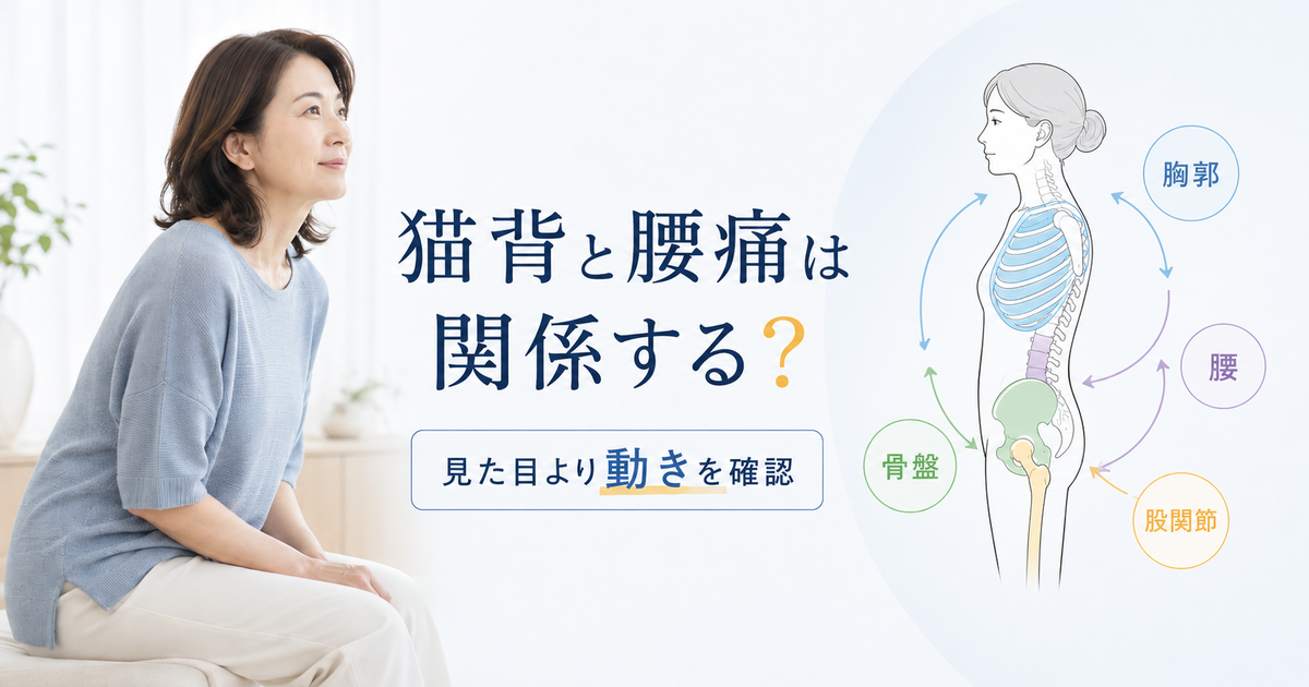 猫背と腰痛の関係を胸郭・骨盤・股関節・腰の動きから考える記事のアイキャッチ