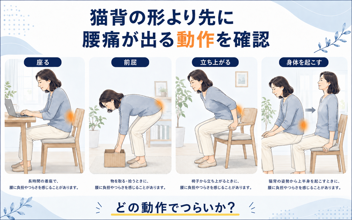 猫背の見た目ではなく座位・前屈・立ち上がりなど腰痛が出る動作を確認する図