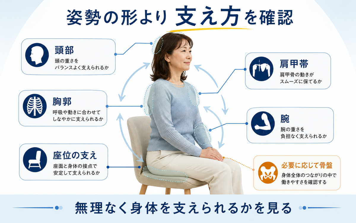 猫背で頭部・胸郭・肩甲帯・腕・座位の支え方を確認する図