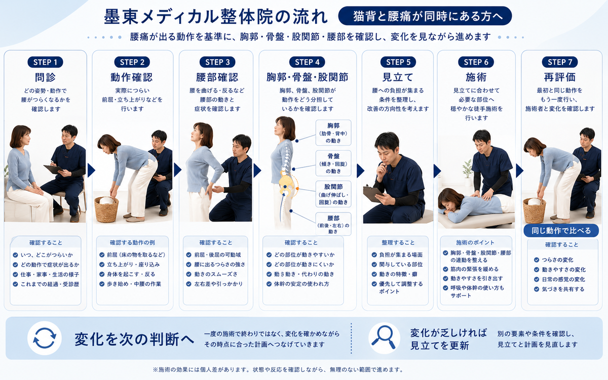 猫背と腰痛について問診・動作確認・腰部確認・胸郭骨盤股関節の確認・見立て・施術・同じ動作での再評価を行う流れ