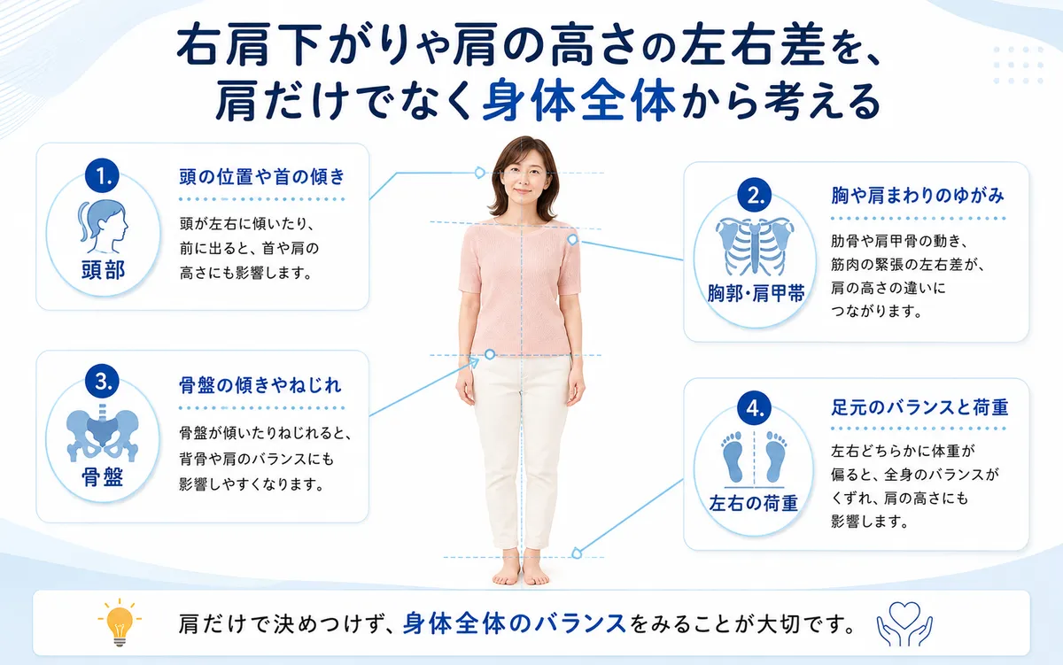右肩下がりを肩だけでなく頭部・胸郭肩甲帯・骨盤・荷重から見ることを示す図解