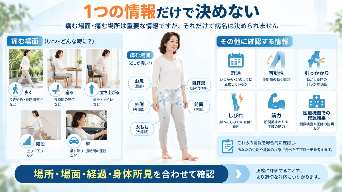 股関節の痛む場所や生活場面だけで病名を決めず複数の情報を合わせて確認する図