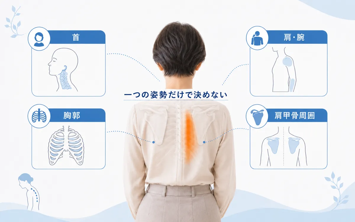 肩甲骨内側痛を巻き肩だけで決めず首・胸郭・肩や腕も確認する図