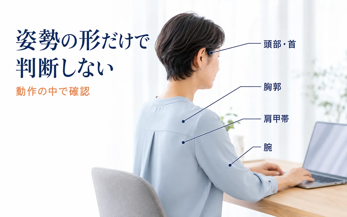 巻き肩や頭部の位置だけでなく首・胸郭・肩甲帯・腕の関係を見る図
