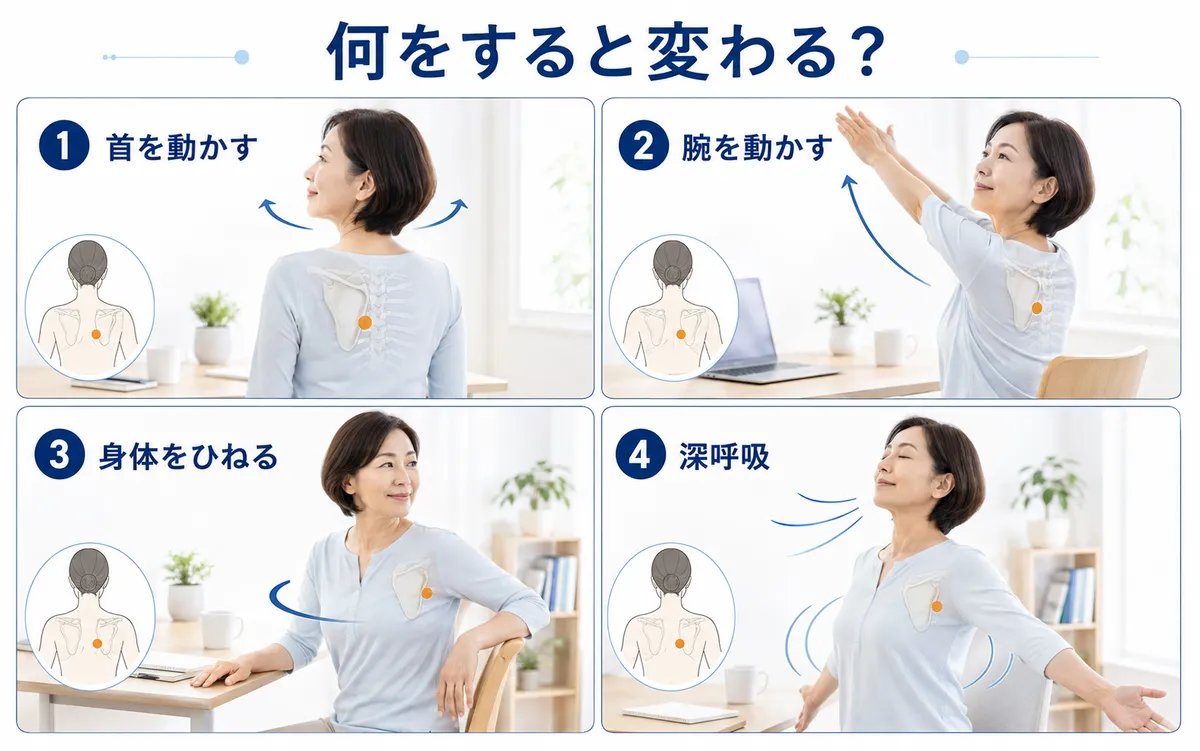首・腕・体幹のひねり・深呼吸で肩甲骨内側の症状が変わるか確認する図