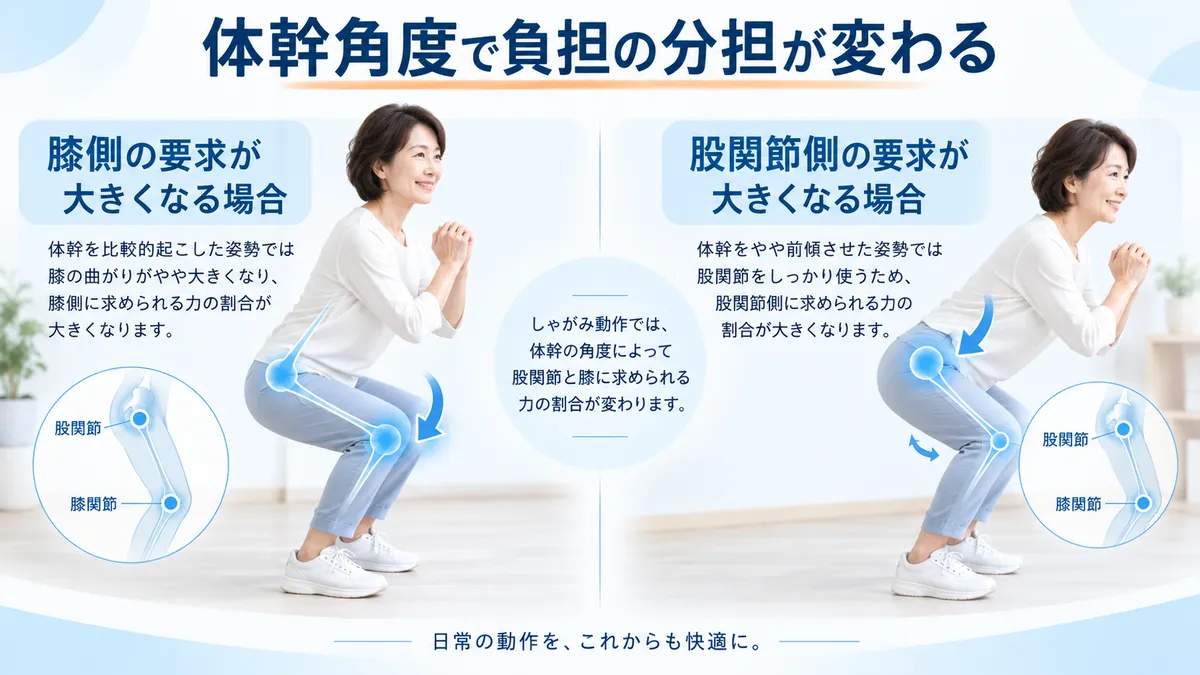 立位で頭部・胸郭・骨盤・股関節・膝・足部が連動して身体を支える図