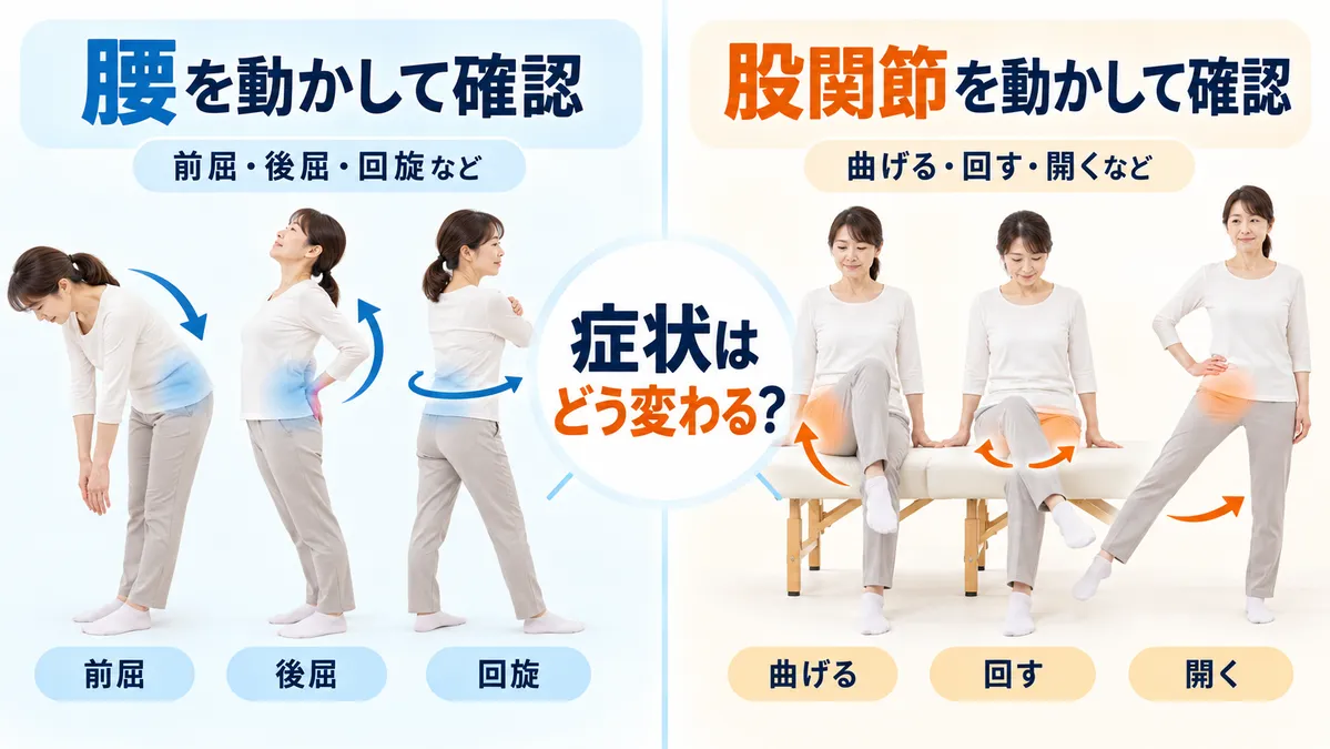 腰と股関節をそれぞれ動かして症状の変化を確認する様子
