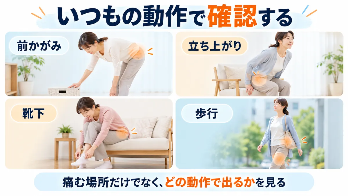 前かがみ・立ち上がり・靴下・歩行で腰と股関節の症状を確認する場面