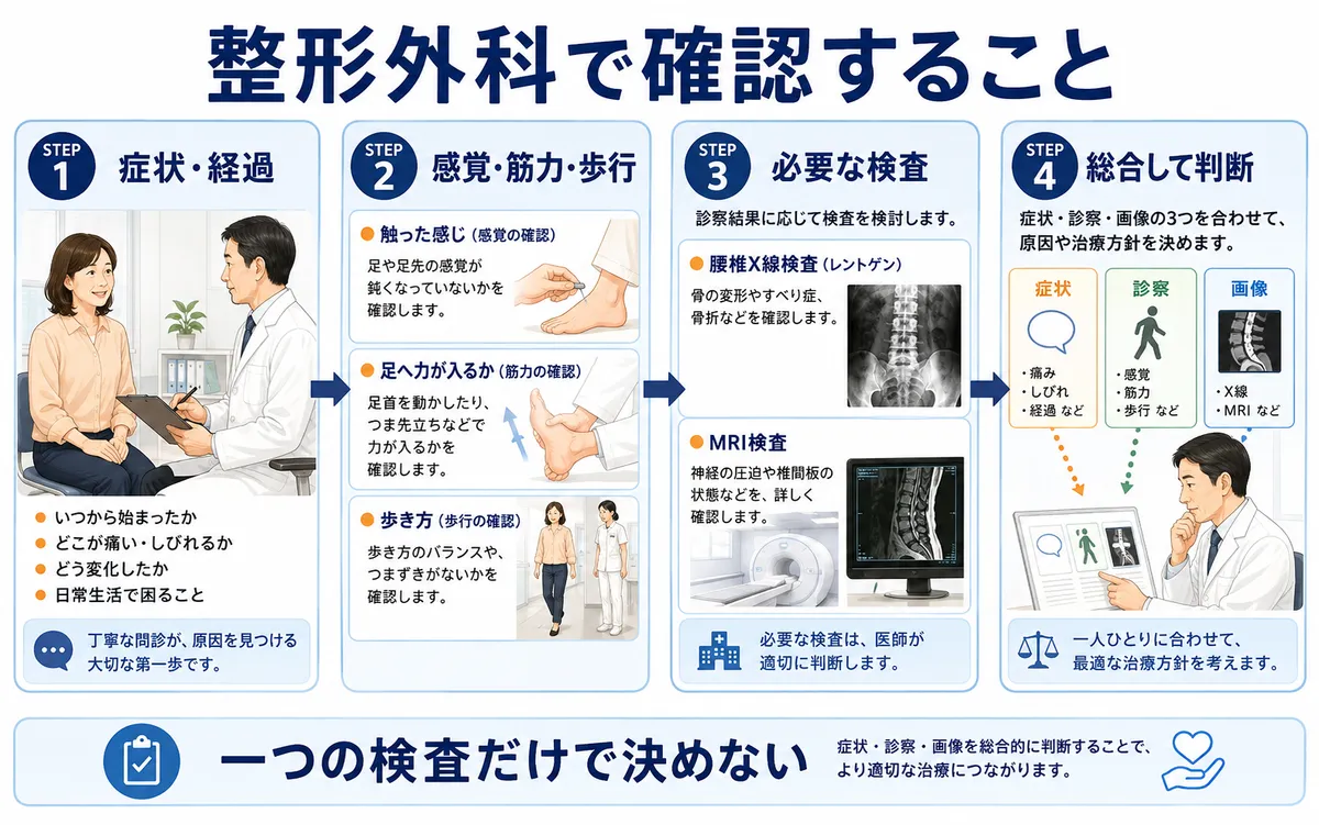 腰痛と足のしびれを整形外科で症状の経過、感覚筋力、歩行、必要な画像検査から総合的に確認する流れ