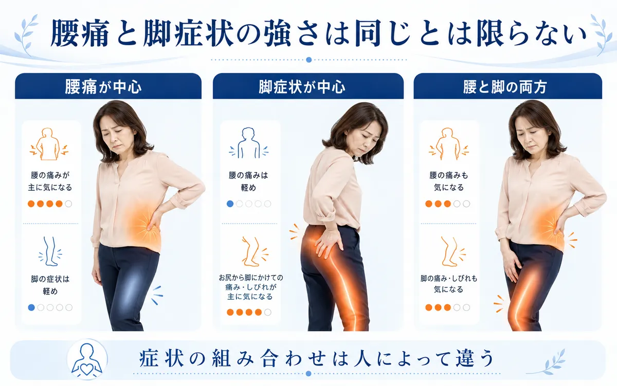 腰痛中心、脚症状中心、腰と脚の両方が強い場合など症状の組み合わせの違いを示す図