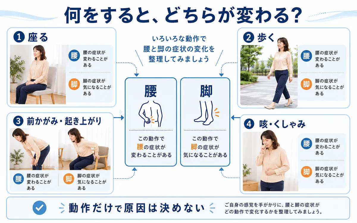 座る・歩く・前かがみ・咳などの動作で腰痛と脚症状がどう変わるかを別々に確認する図