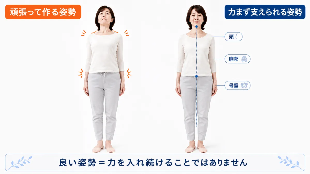 力を入れて作る姿勢と余計な力みなく身体を支える姿勢の比較