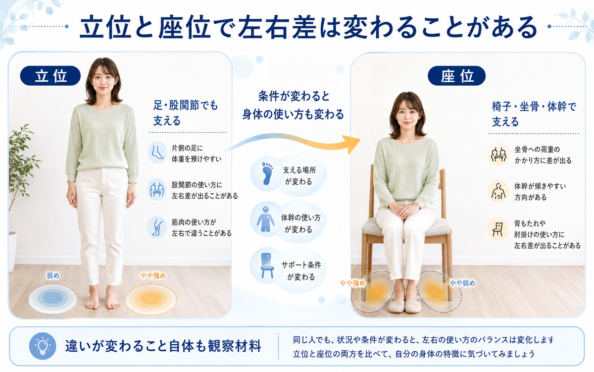 立位と座位で骨盤まわりの左右への荷重の出方が変わる様子