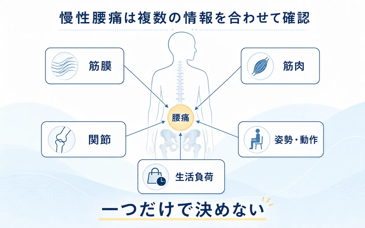 腰痛を筋膜・筋肉・関節・姿勢や動作・生活負荷の5つの情報から考える図