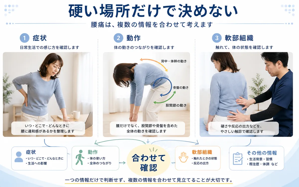 腰痛を硬い場所だけで決めず症状・動作・軟部組織を合わせて確認する図