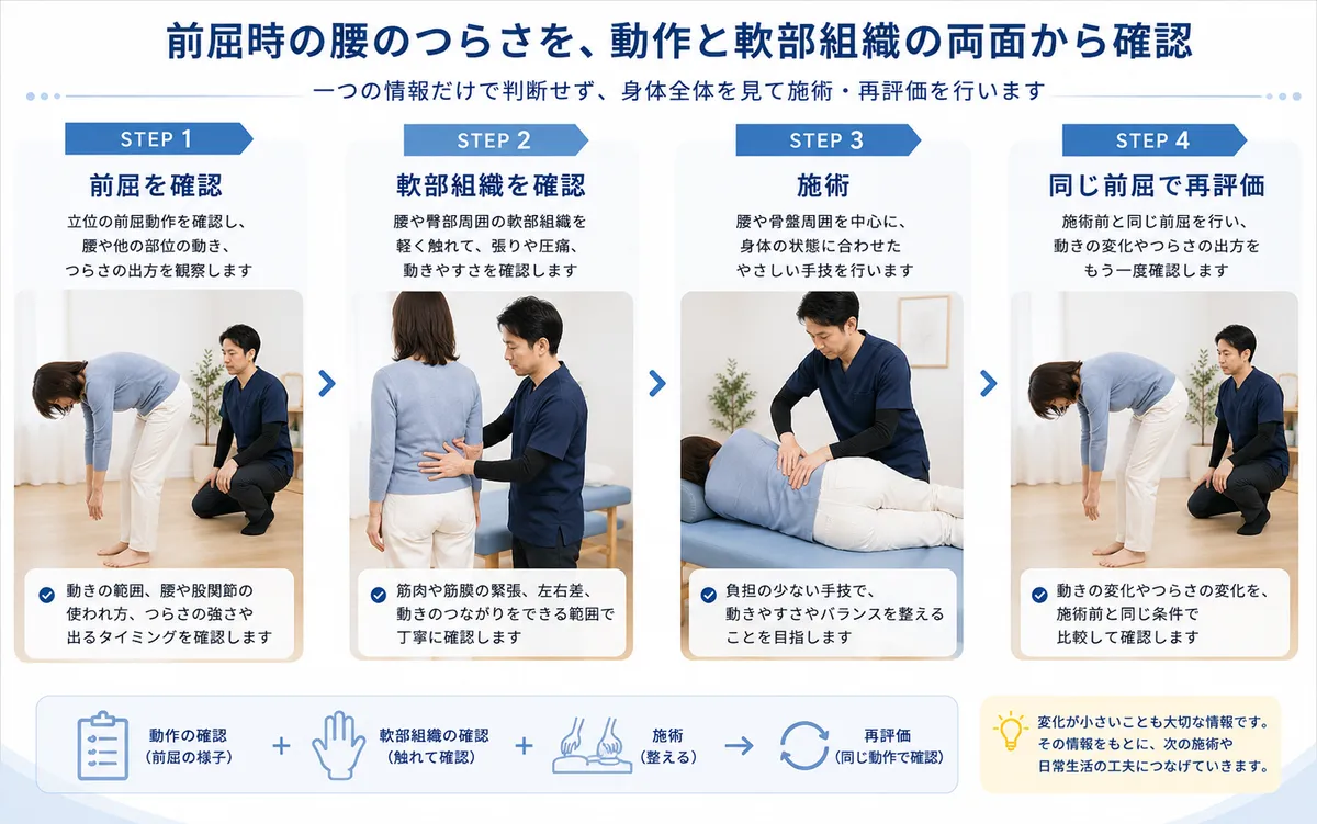 前屈確認から軟部組織の確認と施術を行い同じ前屈で再評価する流れ