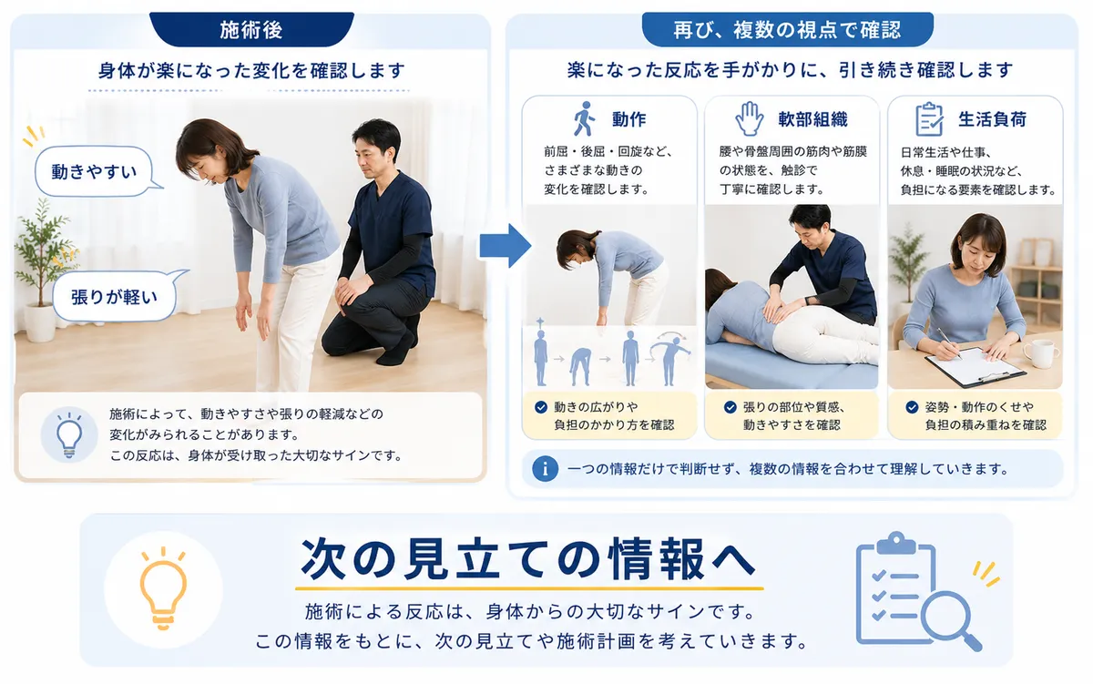 施術後に腰が楽になった反応を原因確定ではなく次の見立ての情報として扱う図