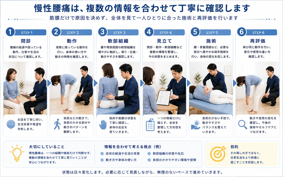 慢性腰痛について問診・動作・軟部組織確認・見立て・施術・再評価を行う流れ