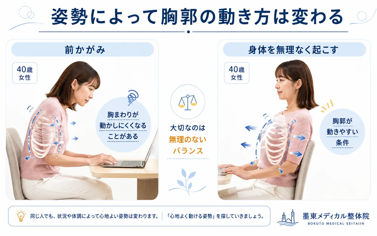 前かがみ姿勢と身体を自然に起こした姿勢で胸郭の動き方が変わる様子