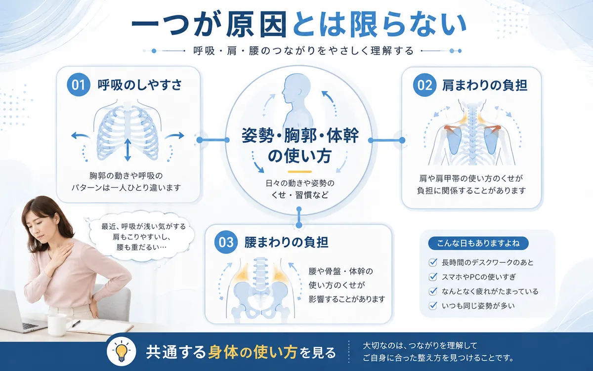 姿勢・胸郭・体幹の使い方と呼吸のしやすさ、肩こり、腰の負担の関係を示す図解