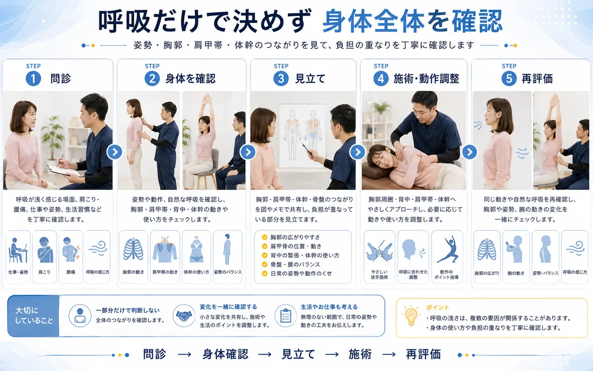 呼吸が浅く感じる患者を問診し姿勢と胸郭を確認して施術後に再評価する流れ