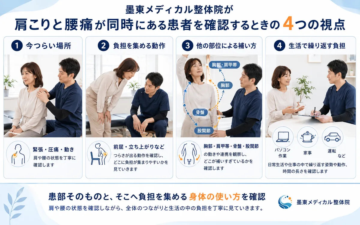 肩や腰の患部・動作・他部位の補正・生活上の負担を確認する4つの視点