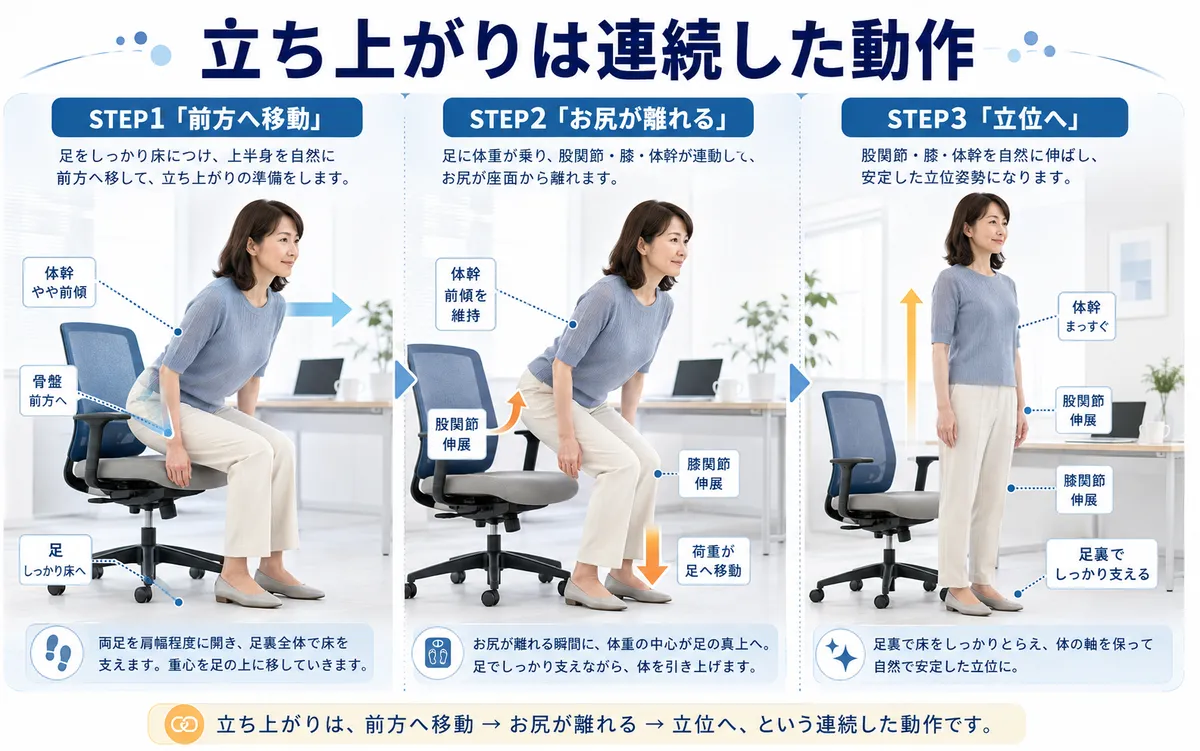 座位から立位へ移るときの体幹、骨盤、股関節、足への荷重変化を示した図