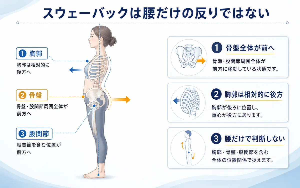 スウェーバック姿勢で骨盤が前方へ移動し胸郭が相対的に後方へ位置する様子