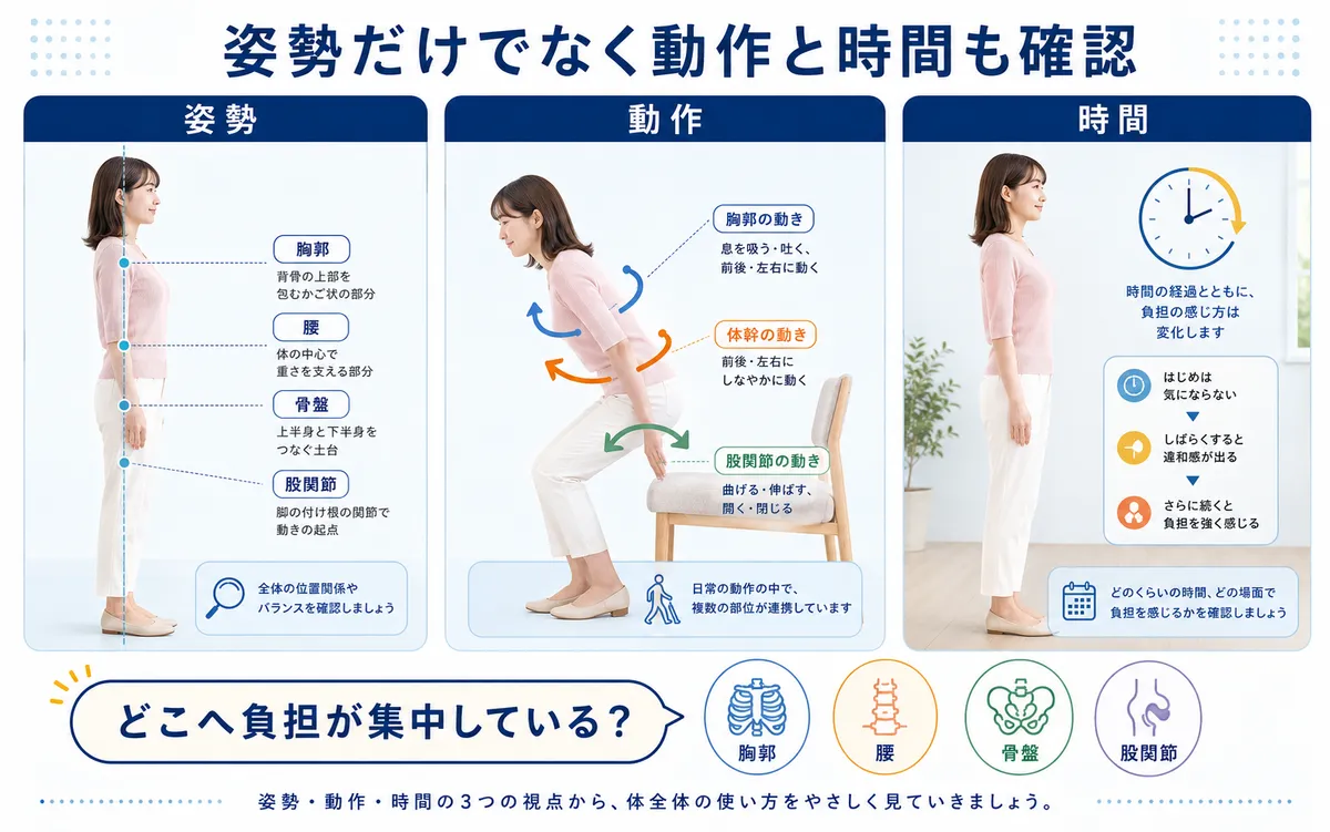腰痛を姿勢・動作・継続時間と胸郭・骨盤・股関節の動きから確認する図