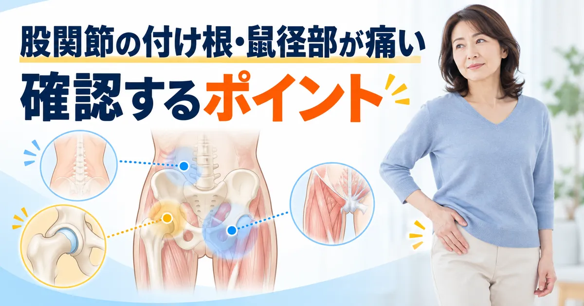股関節の付け根・鼠径部痛で確認する範囲を示した女性と股関節のイラスト