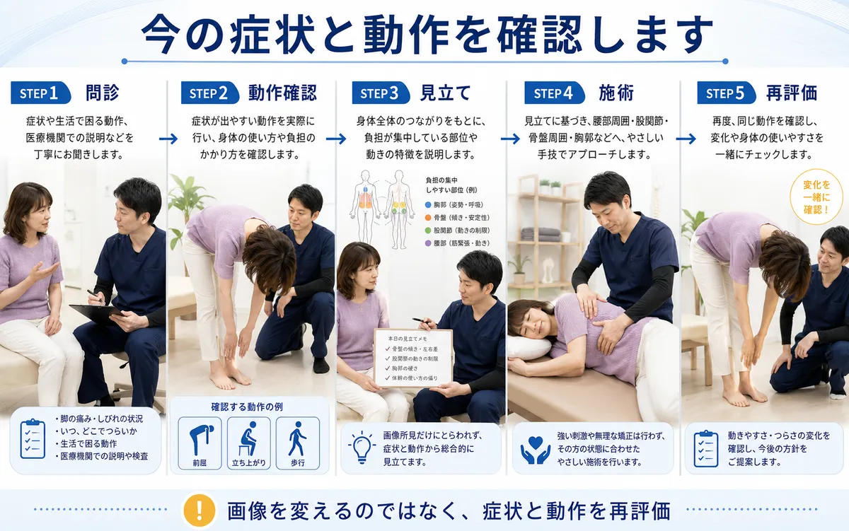 墨東メディカル整体院で腰椎椎間板ヘルニアの患者を問診し動作確認、見立て、施術、再評価する流れ