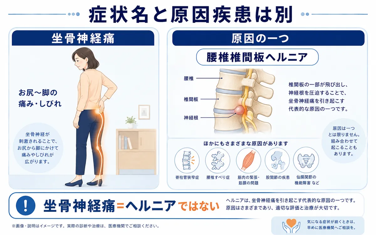 坐骨神経痛は症状を表す言葉で腰椎椎間板ヘルニアは原因疾患の一つであることを示す図