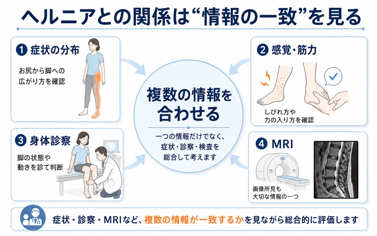 坐骨神経痛と椎間板ヘルニアの関係を症状分布、感覚筋力、身体診察、MRIの情報から確認する