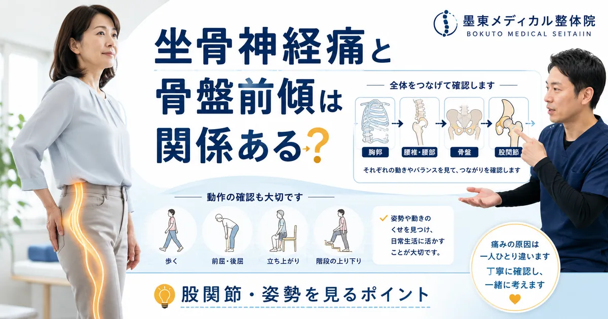 坐骨神経痛と骨盤前傾の関係を股関節や姿勢から考える記事のアイキャッチ