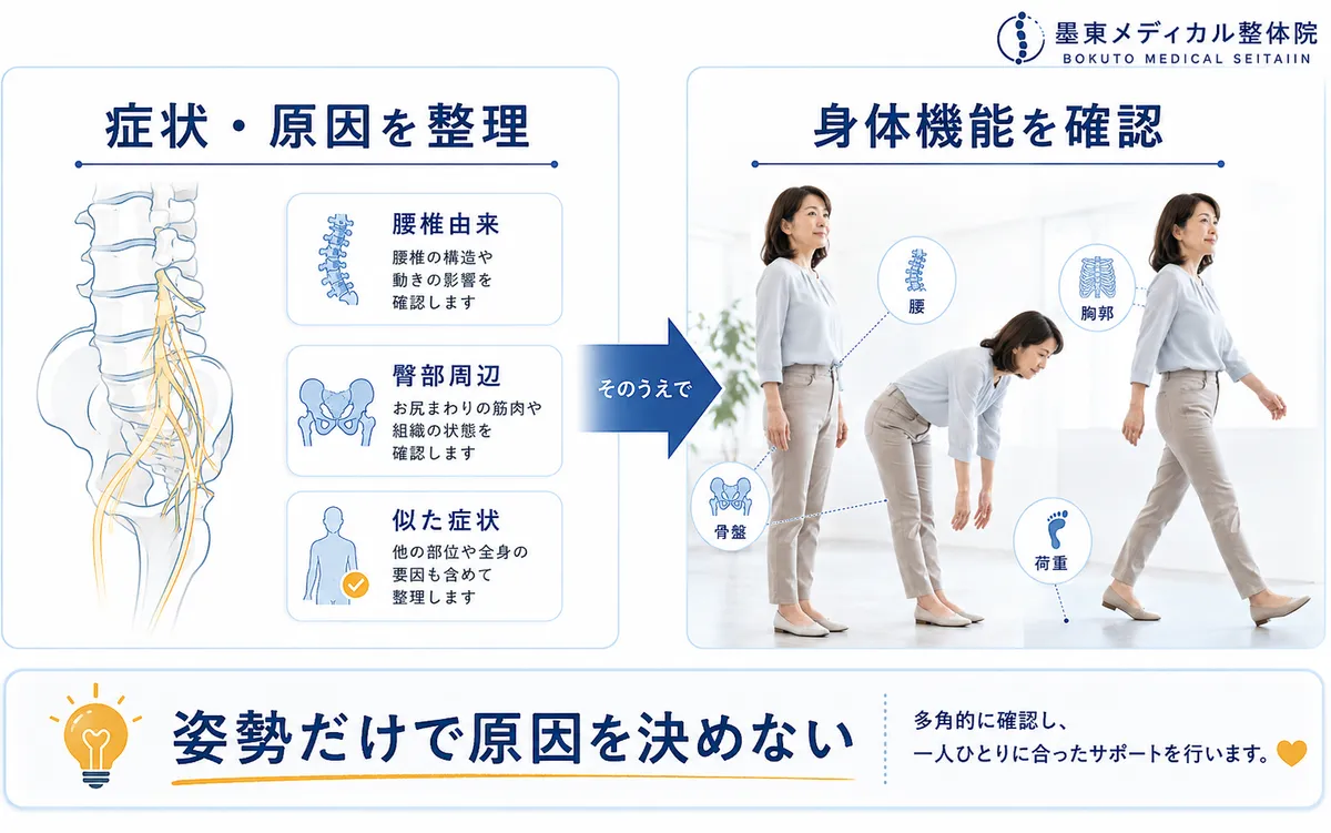同じ骨盤前傾でも胸郭や股関節、荷重など身体の使い方が異なることを示す図