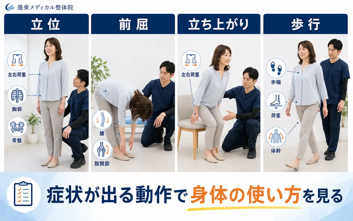坐骨神経痛がある人の立位、前屈、立ち上がり、歩行を確認する図
